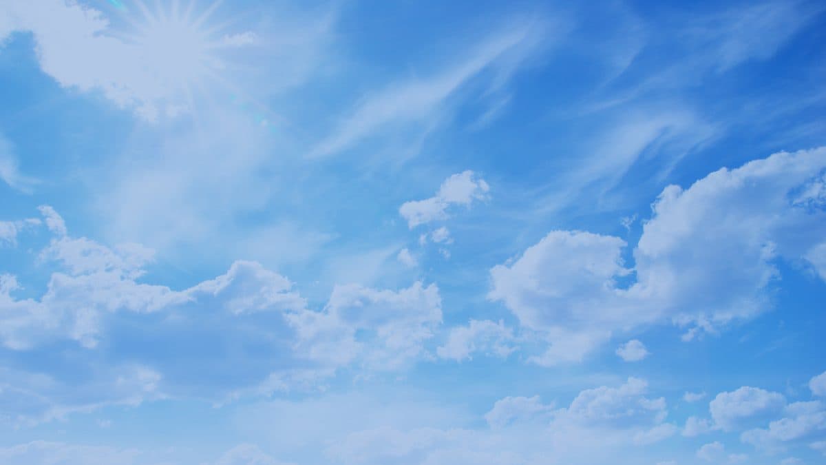 더파티움 케이터링